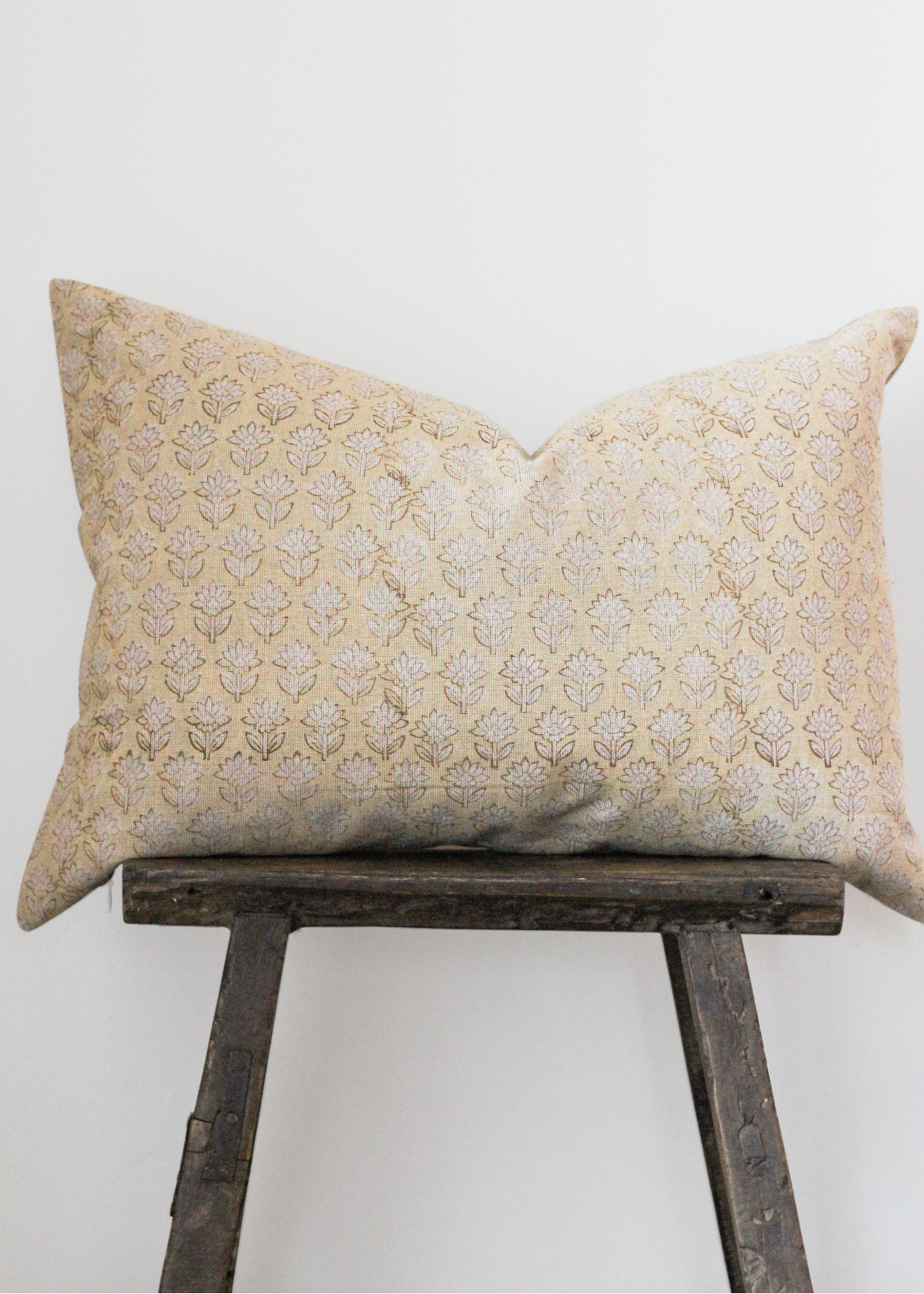 Aurelia - 14x20, 20x20